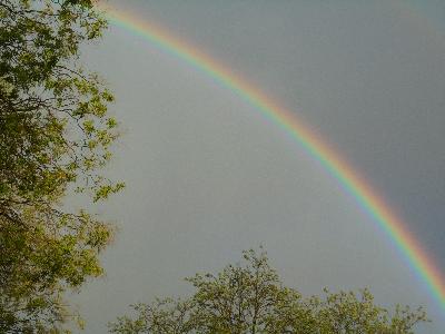 Arc en ciel