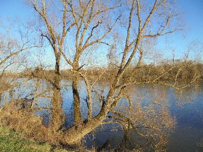 Loire Nevers