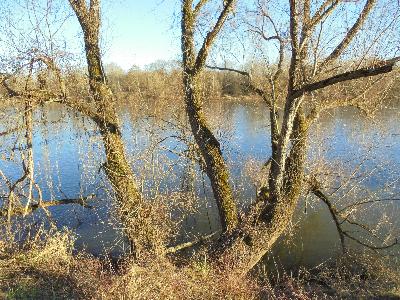 Loire Nevers